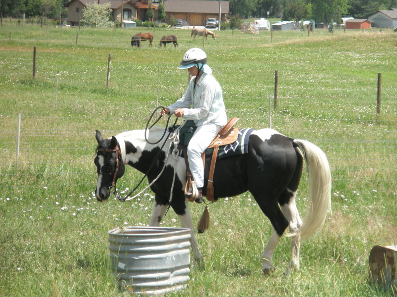 Riding a horse around a barrel