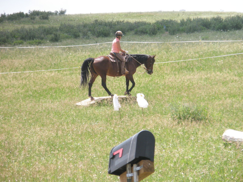 Riding a horse over a raised bridge