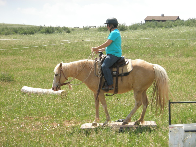 Riding a horse over a low bridge