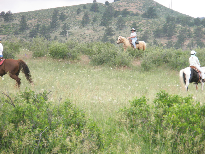 Kim on Prince watching ladies from a hill on a trail ride on our ranch.