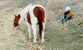 Young girl siting in grass with horse grazing in ditch.