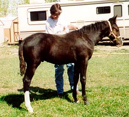 Magic's colt Prairie.